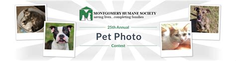 Montgomery humane society - Apr 20, 2023 · When: Thursday, April 20th, 2023. Where: 201 Dexter Avenue at the RSA Activity Center. Time: 6 pm Open Bar and Buffet, 7:00 pm presentation. Open Bar, Buffet Dinner and Silent Auction to help raise funds for our pet treatment program. Reservations: $50 Individual, $90 Couple, Table of 8 $425. Additional $150 to Present your dog or sponsor a ... 